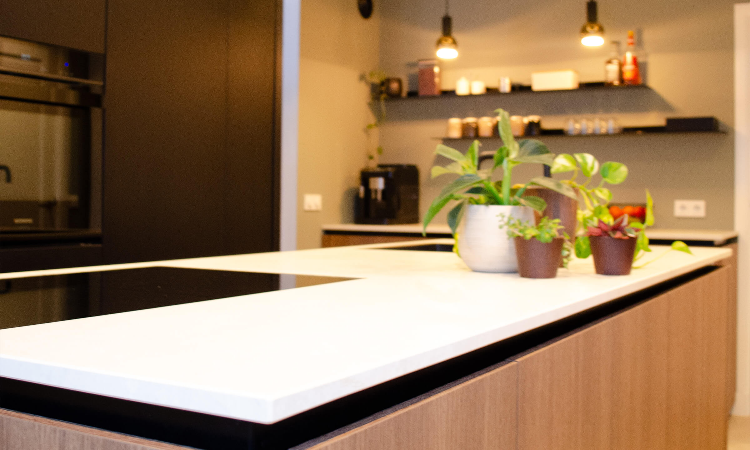 kloppenberg-header-project-62c